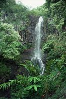 Écosystèmes à Hawaii