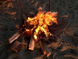 Famille Campfire Activités