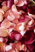 Comment faire Cônes à Put pétales de rose pour mon mariage