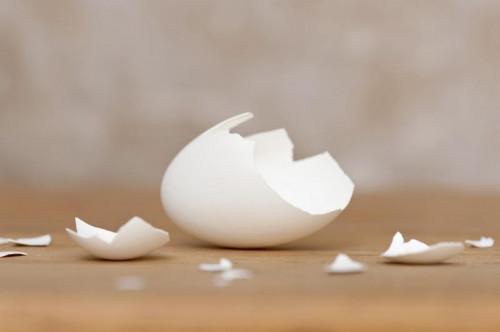 Quelles sont les similitudes entre Eggshells et les dents?