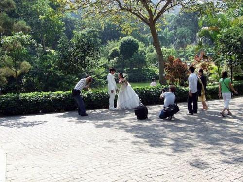 Comment se marier dans un parc