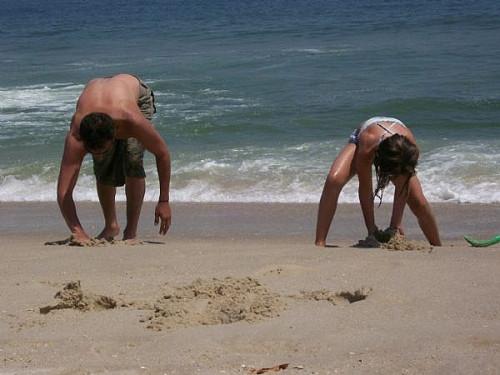 Comment attraper un crabe de sable