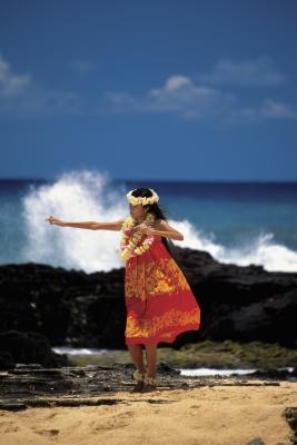 Hawaiian Thème Idées Photo Cutout