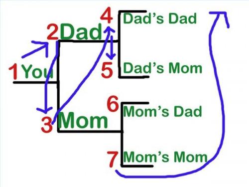 Comment Number Family Tree