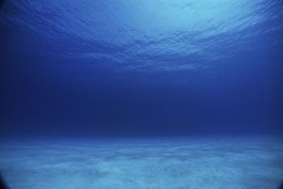 Projets de densité de l'océan pour la première catégorie