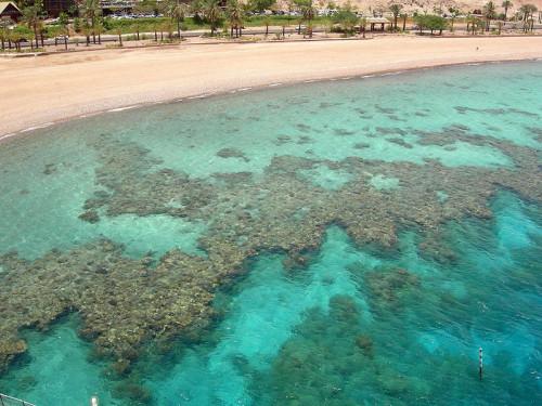 Comment puis-Coral Reefs formulaire?